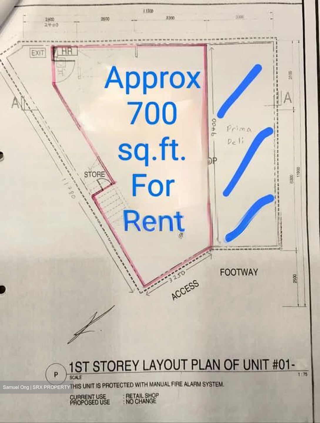 Clementi Avenue 3 (D5), Shop House #537499941